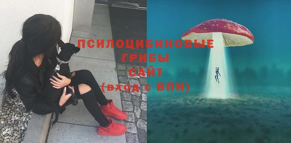 мяу мяу мука Алзамай