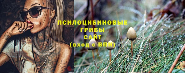 гашик Алексеевка