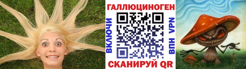 Галлюциногенные грибы GOLDEN TEACHER  Пущино 